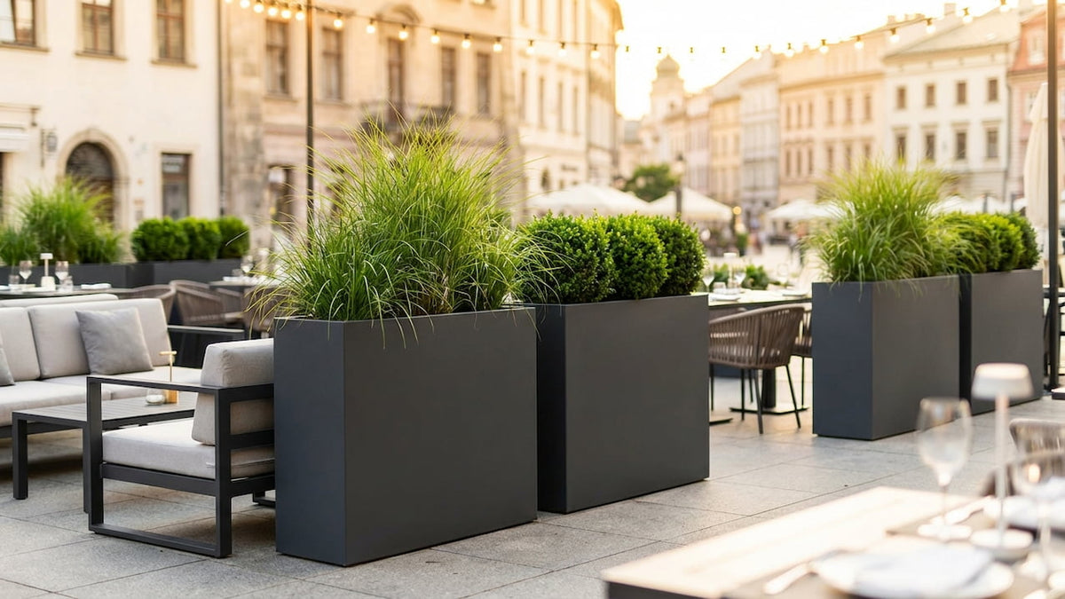 Anthrazitfarbene Pflanzkübel mit Gräsern und Buchs als Raumteiler auf einer Restaurant-Terrasse
