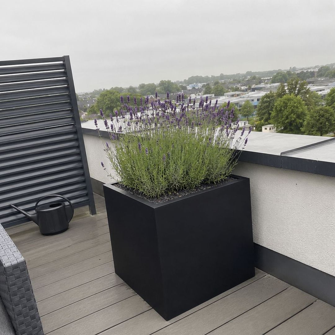 Schwarz-matter quadratischer Pflanzkübel mit blühendem Lavendel und Kiesabdeckung auf einer Dachterrasse mit Holzdielen