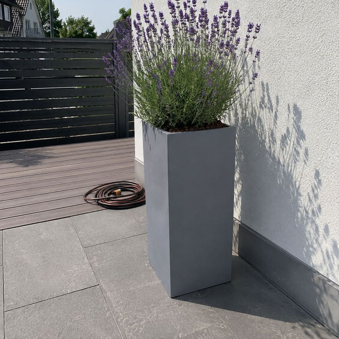 Graue Pflanzsäule aus Fiberglas mit blühendem Lavendel an einer weißen Hauswand auf sonniger Terrasse