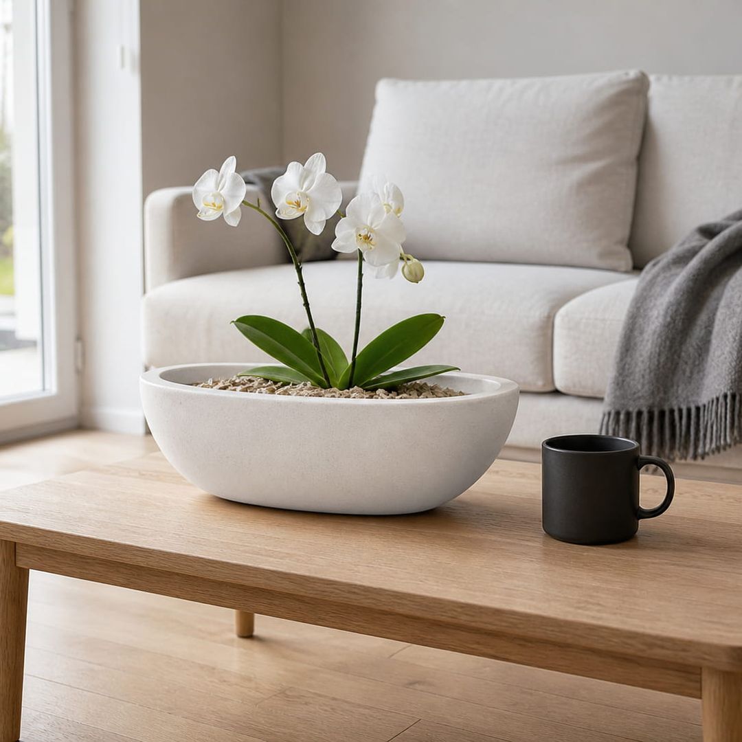 Ovaler Pflanzkübel aus Fiberglas in Perlmuttweiß mit weißer Orchidee auf einem Holzcouchtisch im Wohnzimmer