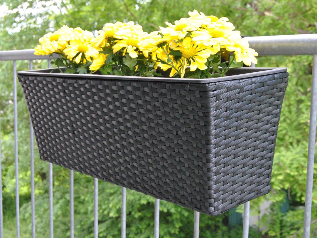 Schwarzer rechteckiger Pflanzkasten aus Polyrattan mit gelben Chrysanthemen am Balkongeländer vor grünen Bäumen