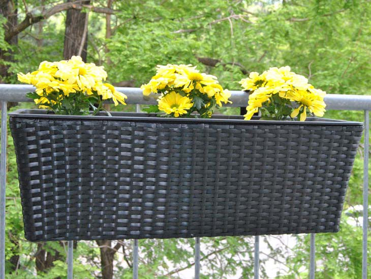 Schwarzer Pflanzkasten aus Polyrattan mit gelben Chrysanthemen am Balkongeländer vor grünen Bäumen