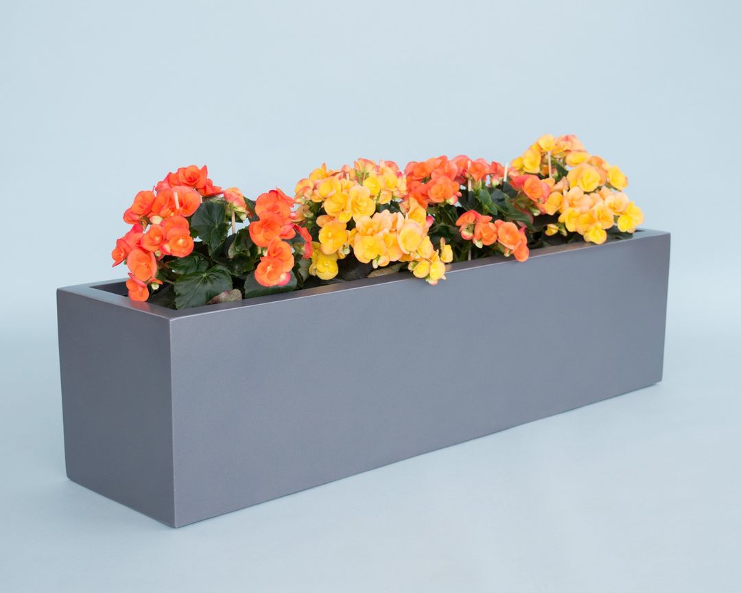 Rechteckiger Pflanzkübel in Anthrazit metallic, bepflanzt mit orangen und gelben Begonien vor hellblauem Hintergrund