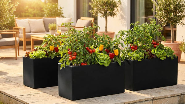 Gemüse im Pflanzkübel anbauen: Die besten Sorten für Terrasse & Balkon