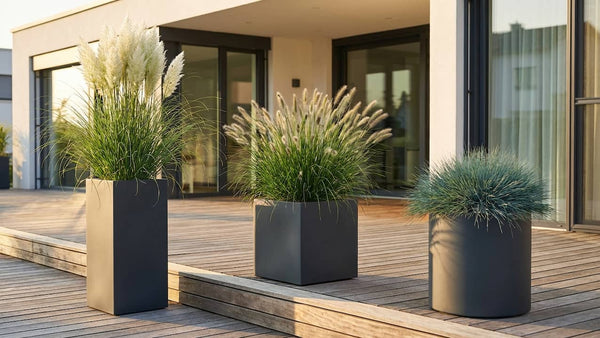 Gräser im Kübel: Die 10 besten Sorten für Terrasse & Balkon