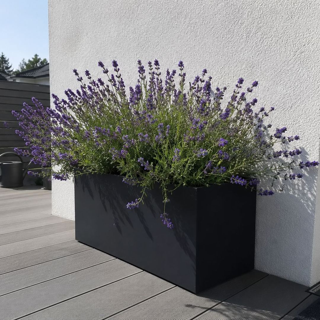 Rechteckiger Pflanzkübel aus Fiberglas in Schwarz-Matt mit blühendem Lavendel vor weißer Hauswand auf einer Terrasse