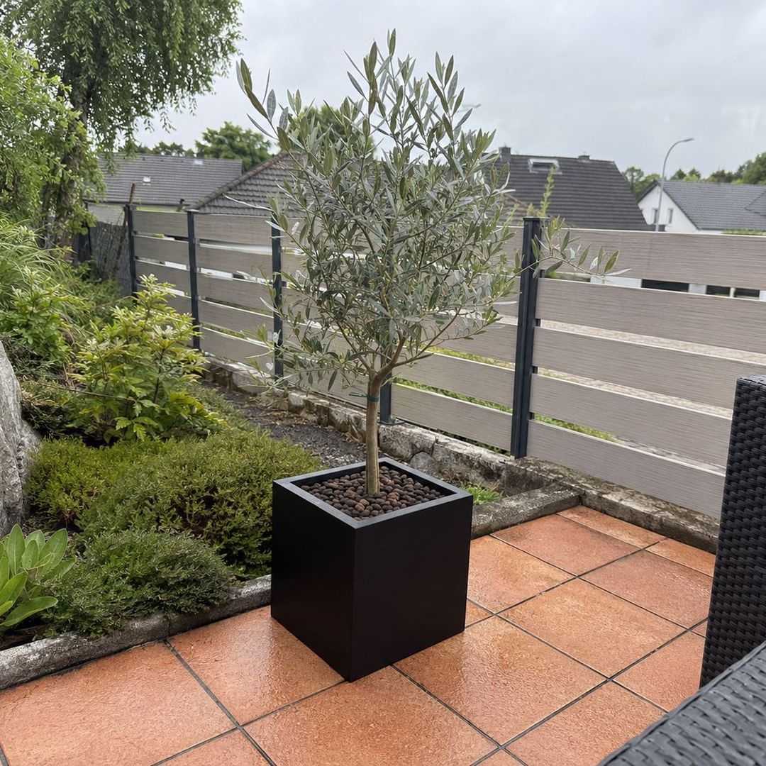 KI-erstellte Abbildung: Quadratischer Pflanzkübel aus Fiberglas in Schwarz-matt mit Olivenbäumchen auf einer Terrasse mit Terrakottafliesen