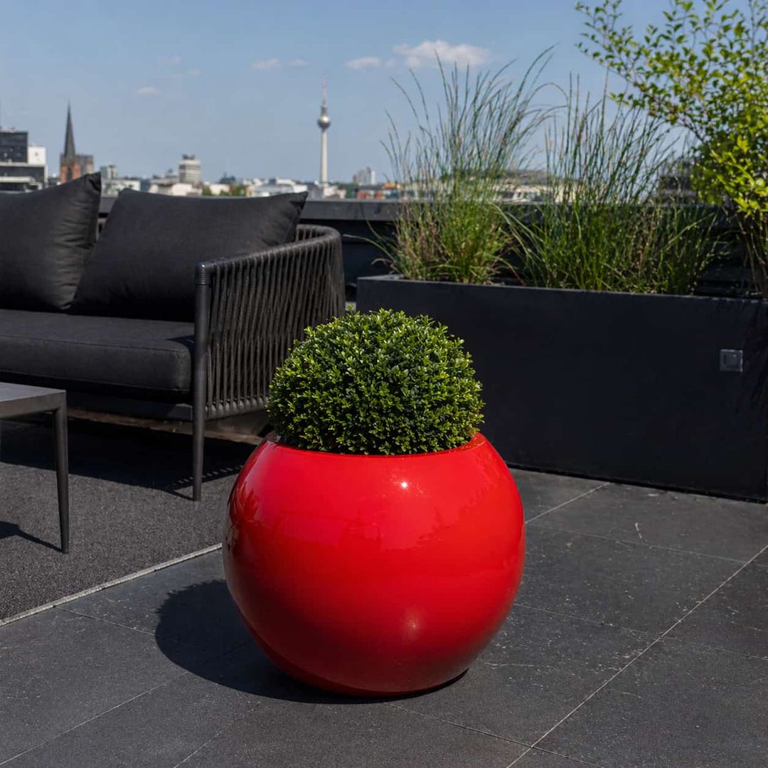 Hochglanz roter Pflanzkübel in Kugelform mit Buchsbaum-Kugel auf dunkler Dachterrasse vor Stadtkulisse