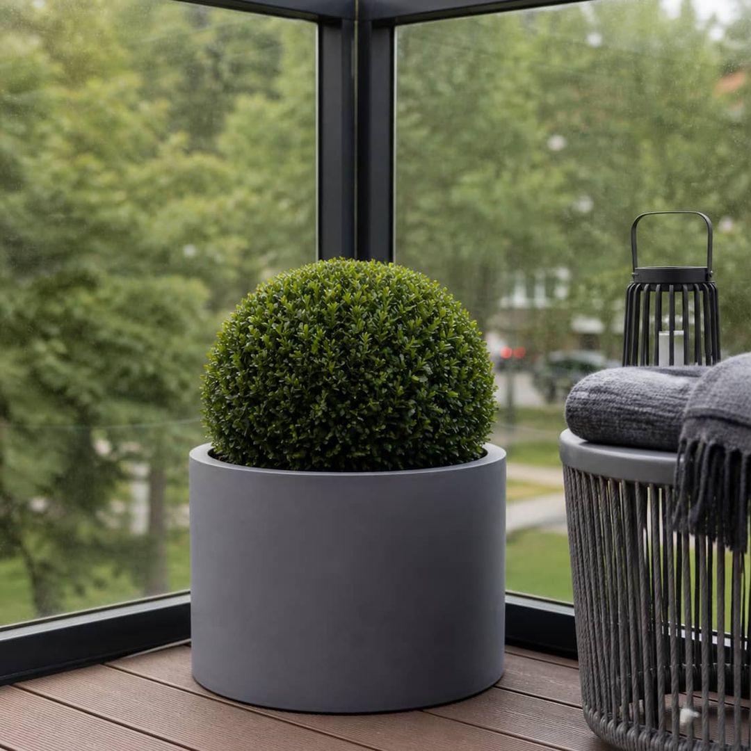 Grauer zylindrischer Pflanzkübel aus Fiberglas mit Buchsbaumkugel in der Ecke eines verglasten Balkons mit Holzboden