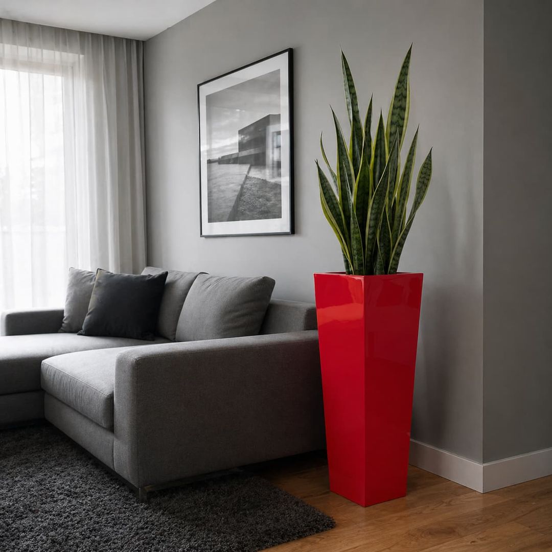 Hochglanz roter konischer Säulen-Pflanzkübel mit Bogenhanf neben grauem Sofa im modernen Wohnzimmer