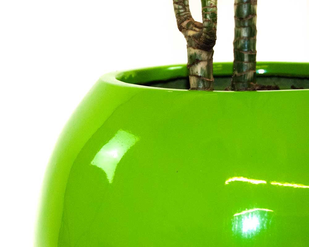 Detailansicht eines hochglanz avocado grünen Ball-Pflanzkübels mit glänzender Oberfläche und Pflanzenstämmen am Rand
