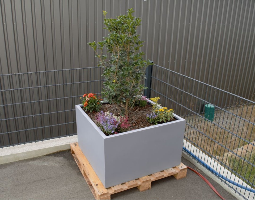 Niedriger quadratischer Pflanzkübel aus Fiberglas in Grau mit Strauch und bunten Blumen auf einer Holzpalette im Freien