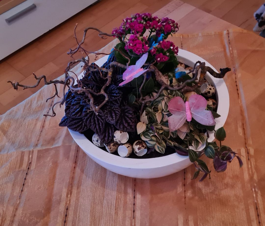 Weiße runde Pflanzschale mit pinker Kalanchoe, dunklen Blattpflanzen, Korkenzieherzweigen und Deko-Schmetterlingen
