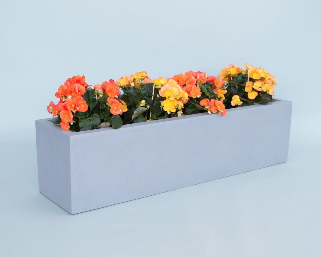 Rechteckiger grauer Pflanzkübel aus Fiberglas mit orangen und gelben Begonien vor hellblauem Hintergrund