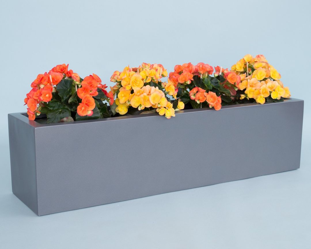 Rechteckiger Pflanzkübel in Anthrazit metallic, bepflanzt mit orangen und gelben Begonien vor hellblauem Hintergrund