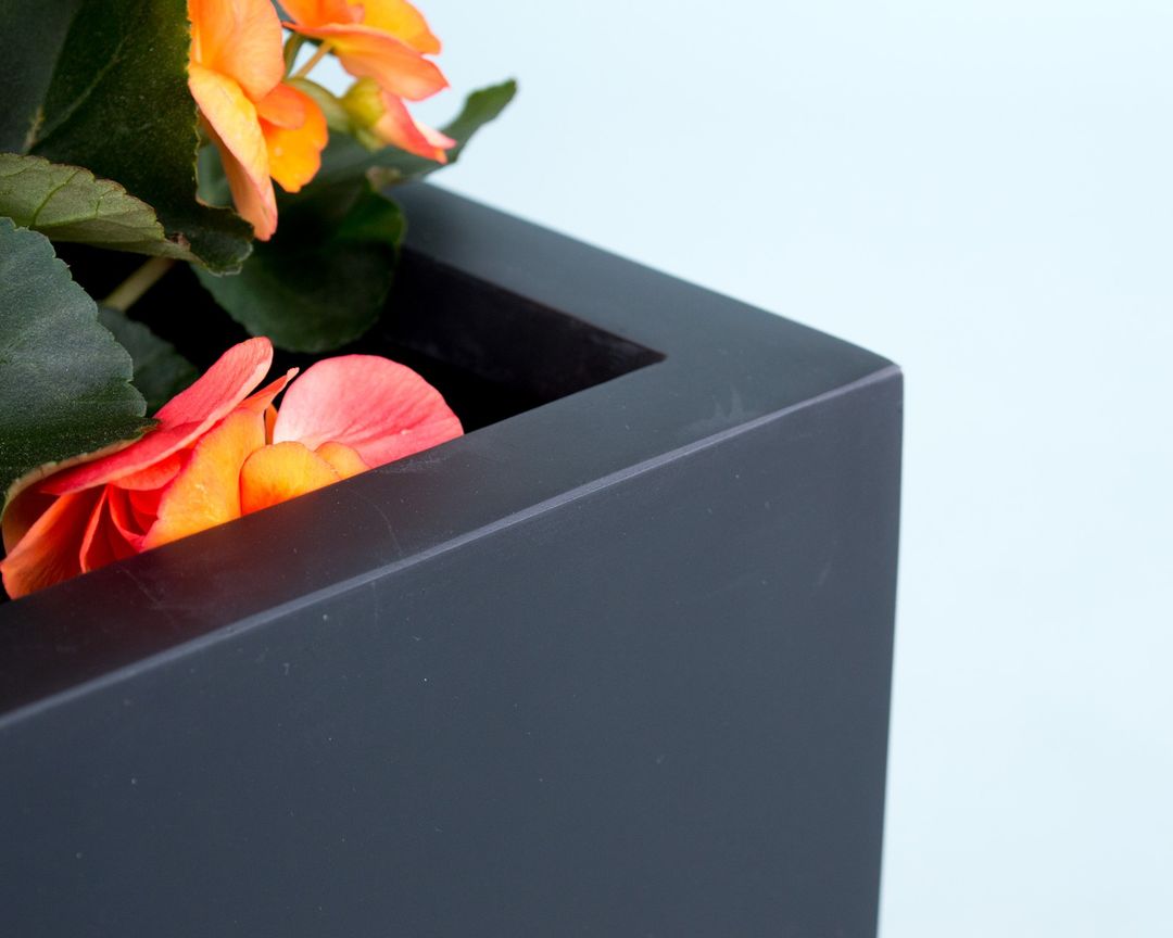 Nahaufnahme der Ecke eines schwarz-matten rechteckigen Pflanzkübels mit orangefarbenen Begonienblüten