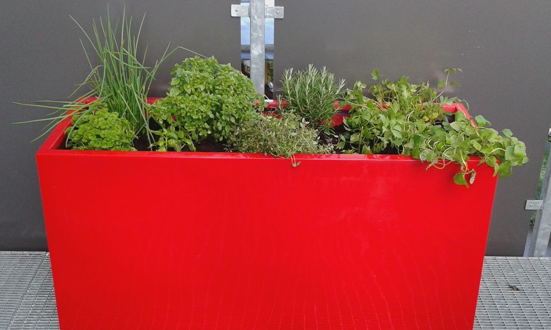 Rechteckiger Pflanzkübel in Hochglanz Rot, bepflanzt mit Kräutern wie Schnittlauch und Rosmarin, auf einem Balkon