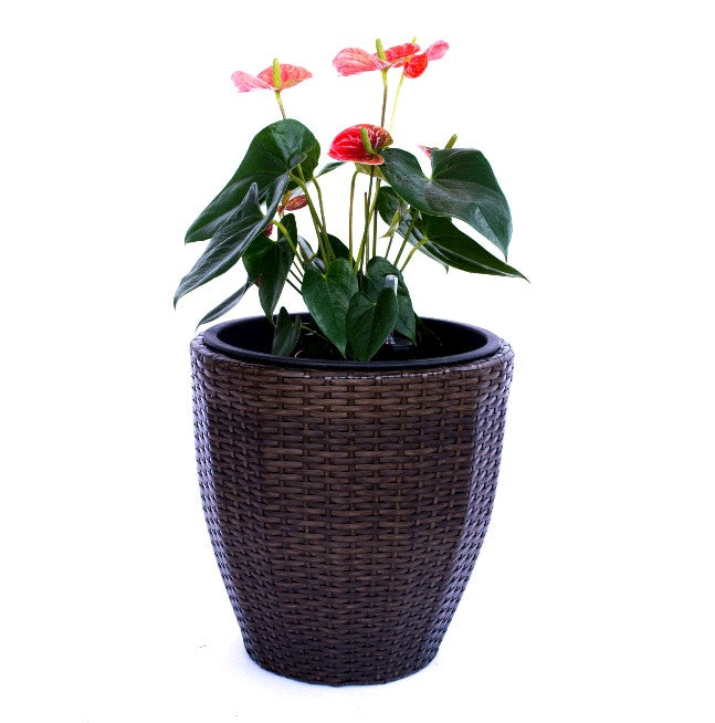 Elegant Einrichten | Pflanzkübel  | Polyrattan | rundkonisch | D37xH37cm | mocca