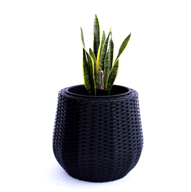 Schwarzer Pflanzkübel aus Polyrattan in runder bauchiger Form mit Bogenhanf und Wasserstandsanzeiger