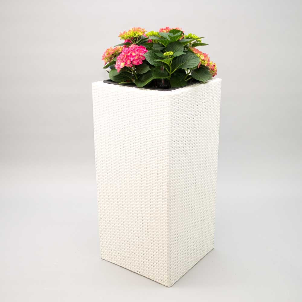 Weißer Pflanzkübel aus Polyrattan in hoher eckiger Säulenform mit rosa blühender Hortensie vor grauem Hintergrund