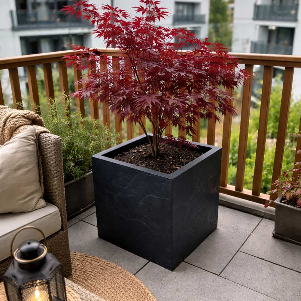 KI-erstellte Abbildung: Quadratischer Pflanzkübel in schwarzer Stein-Optik mit rotem Fächerahorn auf einem Balkon mit Holzgeländer