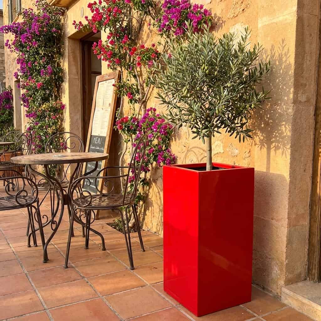 KI-erstellte Abbildung: Hochglanz rote Pflanzsäule aus Fiberglas mit Olivenbaum vor einer Steinfassade mit Bougainvillea auf einer Terrasse