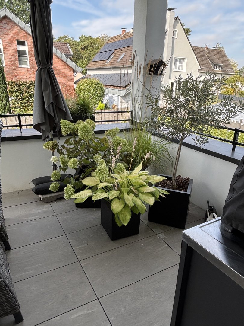 Pflanzkübel Fiberglas quadratisch 30x30x30cm schwarz-matt mit Funkie und Hortensie auf einer Terrasse